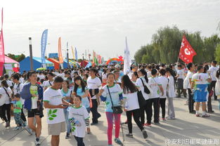 奔跑不息，公益如歌 一场终点处的温暖嘉年华